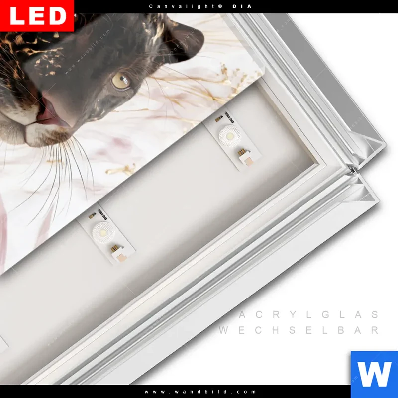 Leuchtbild Acrylglas Canvalight® DIA | Panther Glow | Hochformat