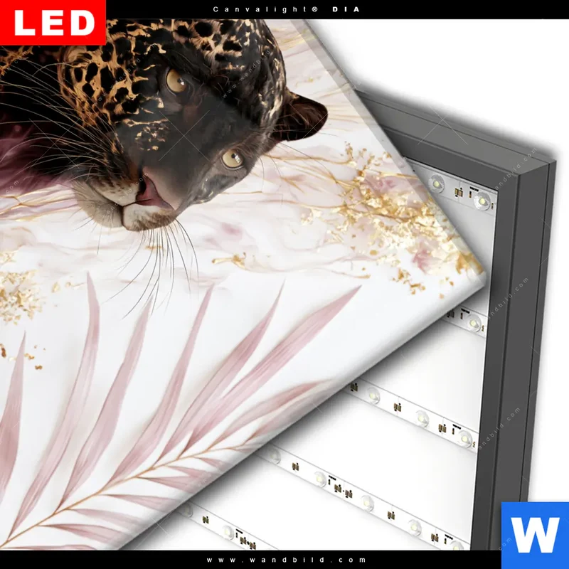 Wechselmotiv Acrylglas Canvalight® DIA | Panther Glow | Quadrat