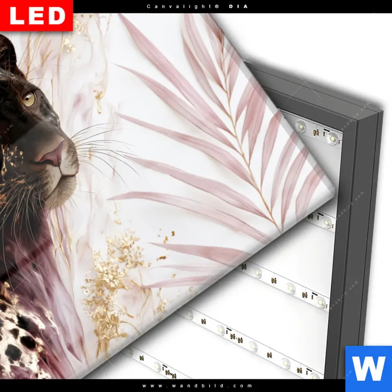 Wechselmotiv Acrylglas Canvalight® DIA | Panther Glow | Querformat