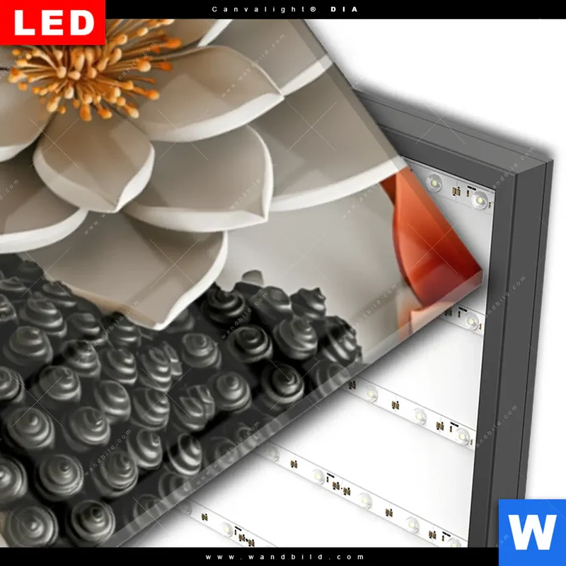 Wechselmotiv Acrylglas Canvalight® DIA | Buddha - Zen & Lotus | Schmal