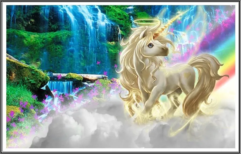 Unicorn PIX-817