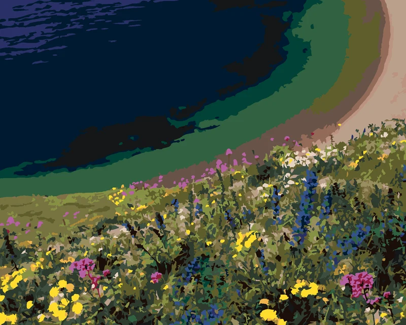 Diamond painting - WIESENBLUMEN ÜBER DER KÜSTE (DENNIS FRATES)