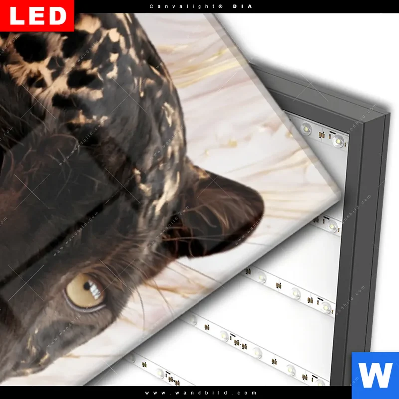 Wechselmotiv Acrylglas Canvalight® DIA | Panther Glow | Schmal