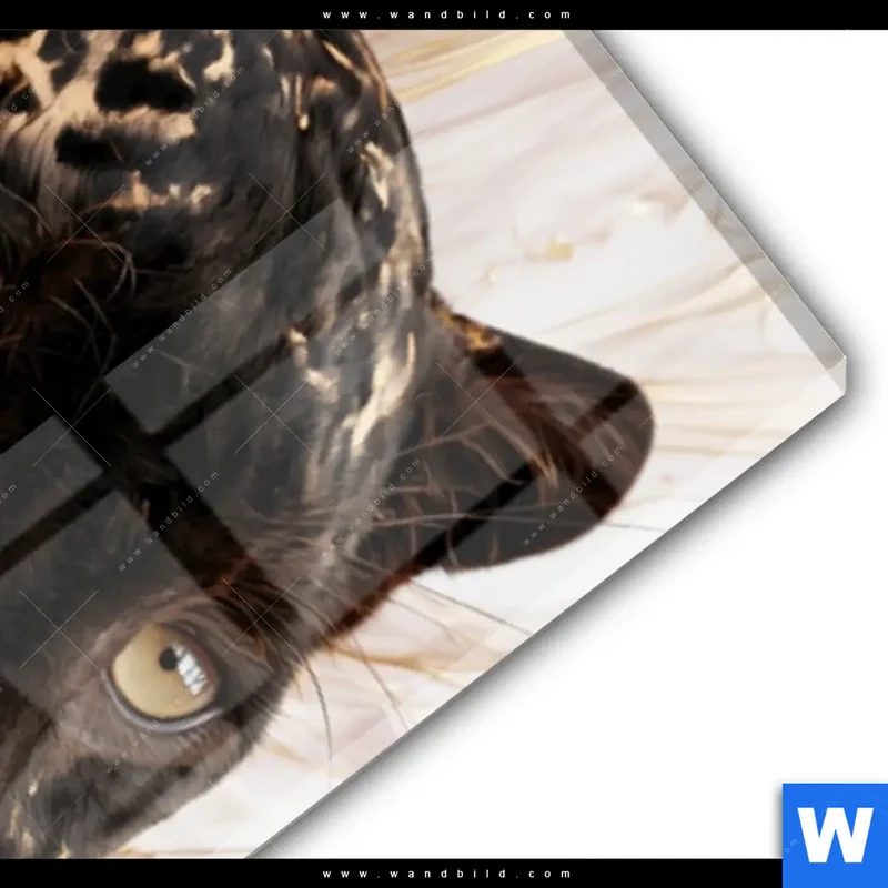 Acrylglasbild | Panther Glow | Schmal