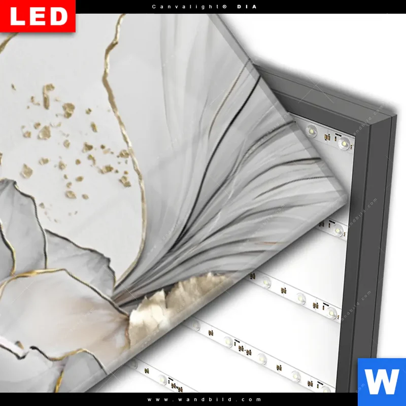 Wechselmotiv Acrylglas Canvalight® DIA | Fluid Art - Sukkulentenblüten | Schmal