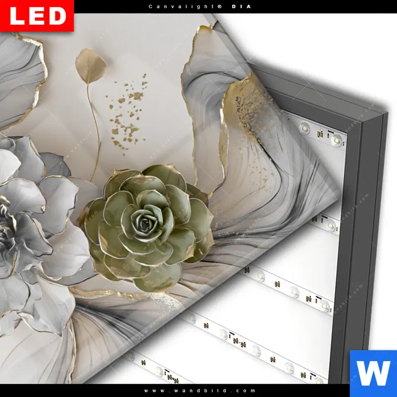 Wechselmotiv Acrylglas Canvalight® DIA | Fluid Art - Sukkulentenblüten | Querformat