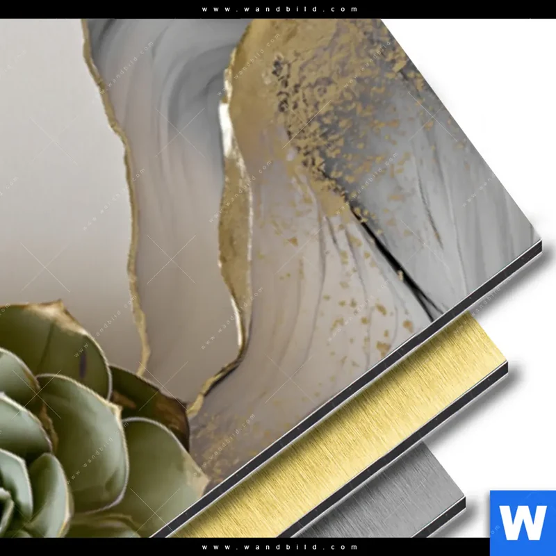 Aluminiumbild gebürstet | Fluid Art - Sukkulentenblüten | Panorama