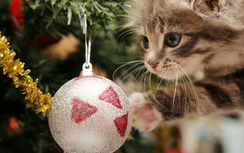 Cat PIX-1390