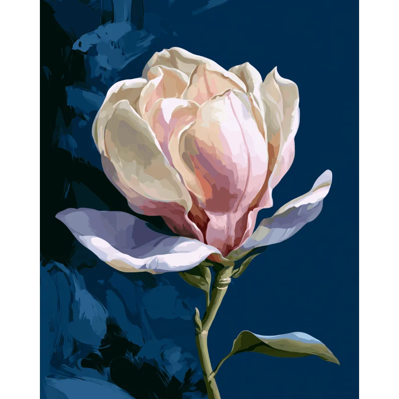 Magnolie bei Nacht