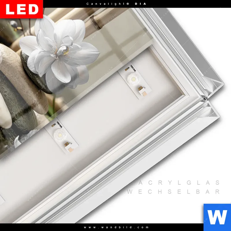 Leuchtbild Acrylglas Canvalight® DIA | Blüten der Stille | Quadrat