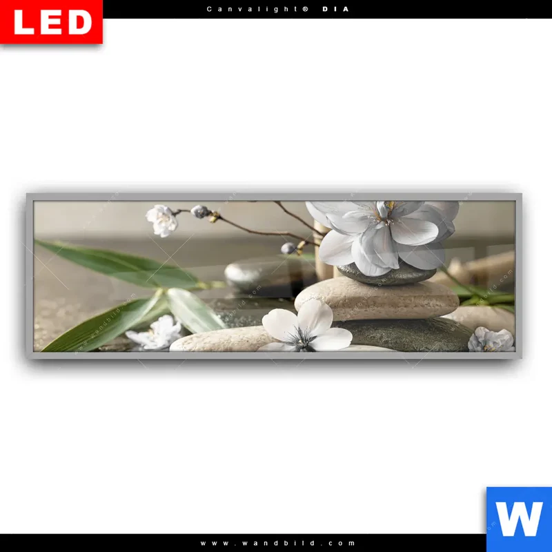Leuchtbild Acrylglas Canvalight® DIA | Blüten der Stille | Panorama