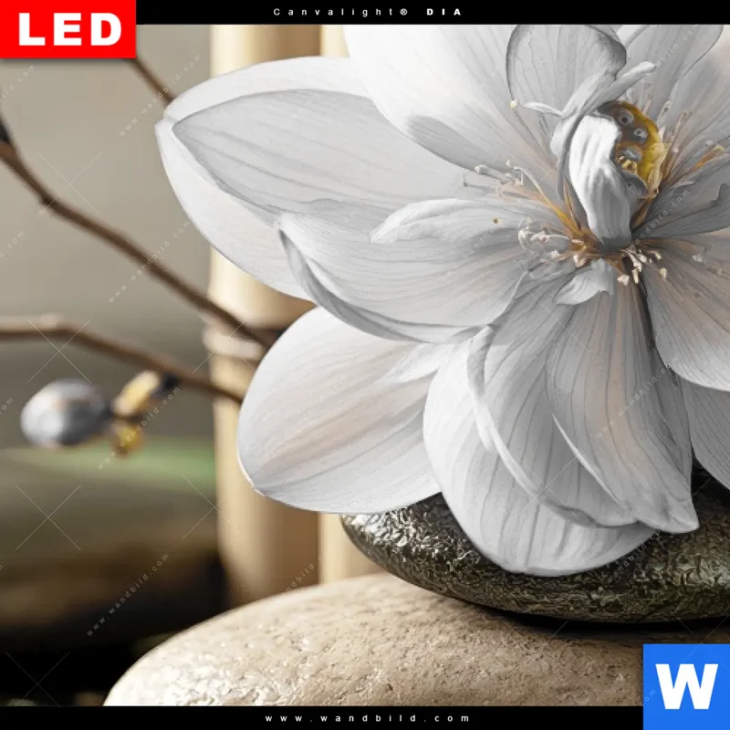 Leuchtbild Acrylglas Canvalight® DIA | Blüten der Stille | Panorama