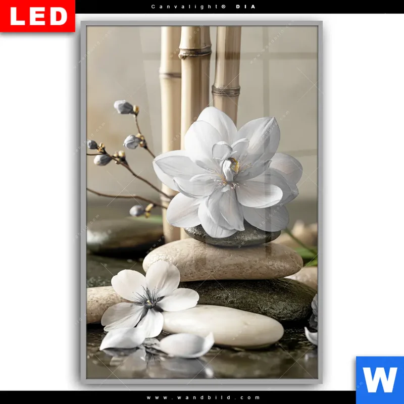 Leuchtbild Acrylglas Canvalight® DIA | Blüten der Stille | Hochformat