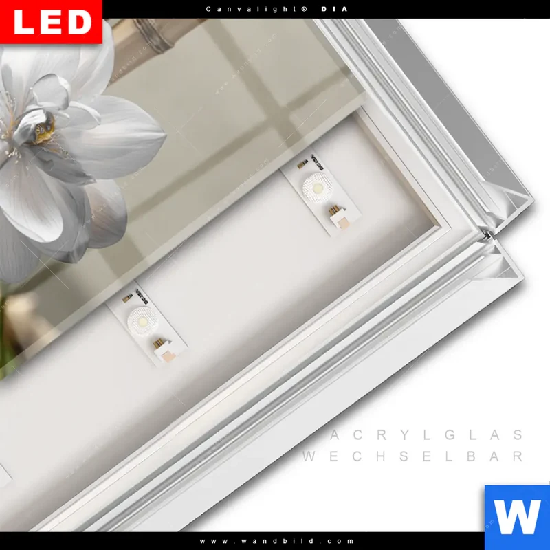 Leuchtbild Acrylglas Canvalight® DIA | Blüten der Stille | Hochformat