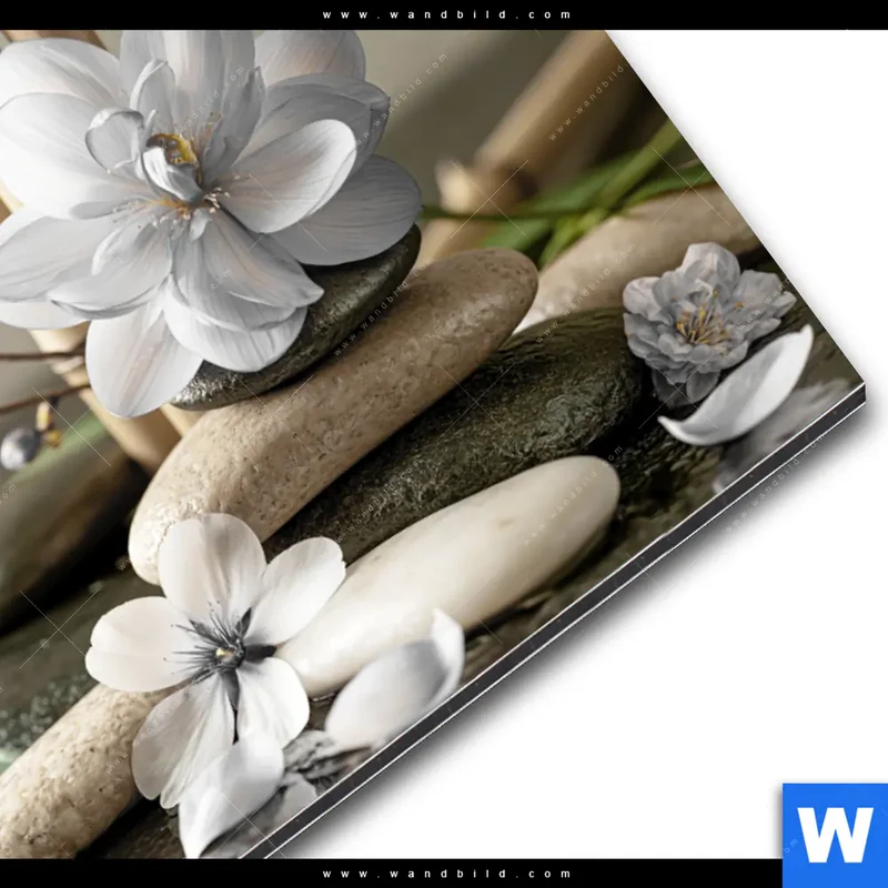 Alu-Dibond Bild | Blüten der Stille | Querformat