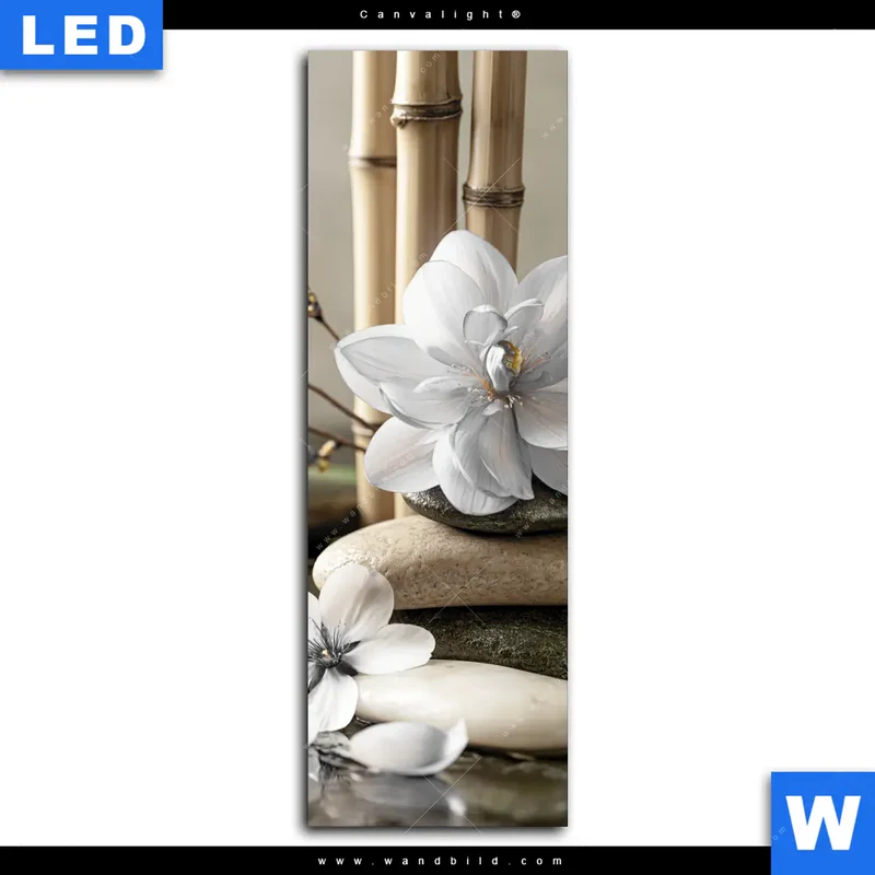 Canvalight® Leuchtbild | Blüten der Stille | Schmal