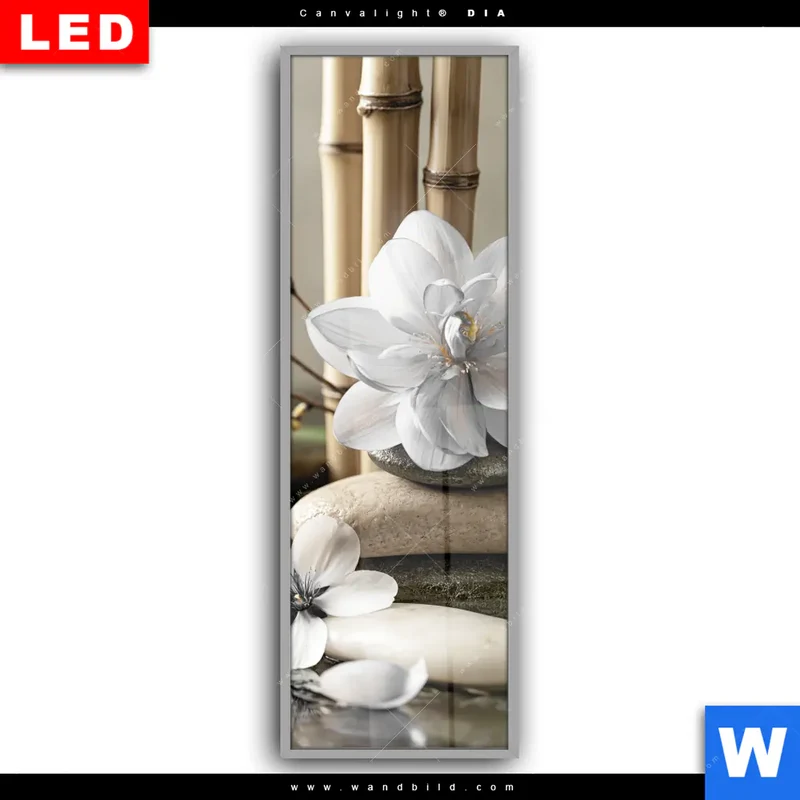 Leuchtbild Acrylglas Canvalight® DIA | Blüten der Stille | Schmal
