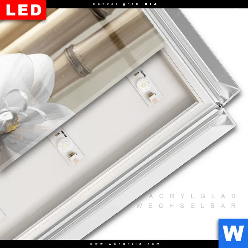 Leuchtbild Acrylglas Canvalight® DIA | Blüten der Stille | Schmal