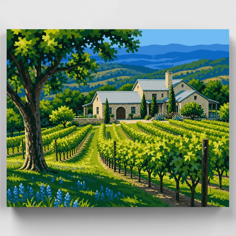 Hill Country Vineyard - Paint by Numbers Kit