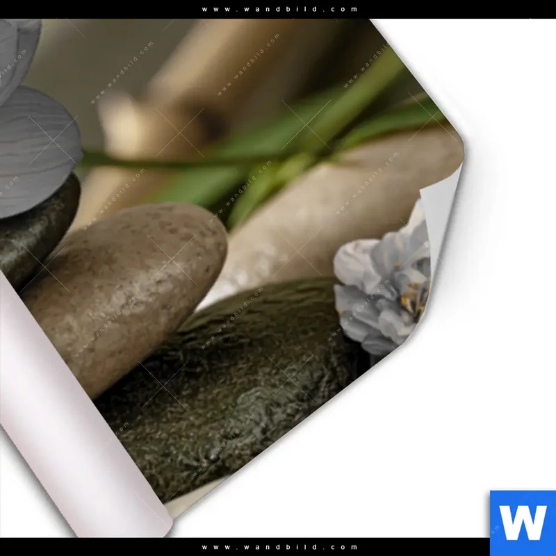 Poster | Blüten der Stille | Panorama