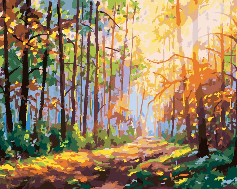 Diamond painting - WALD MIT SONNENSPIEGELUNG