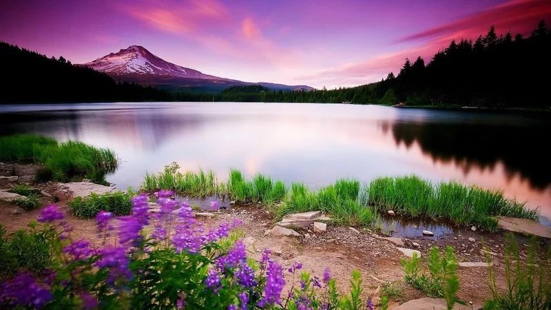 Embroidery Landscape PIX-106