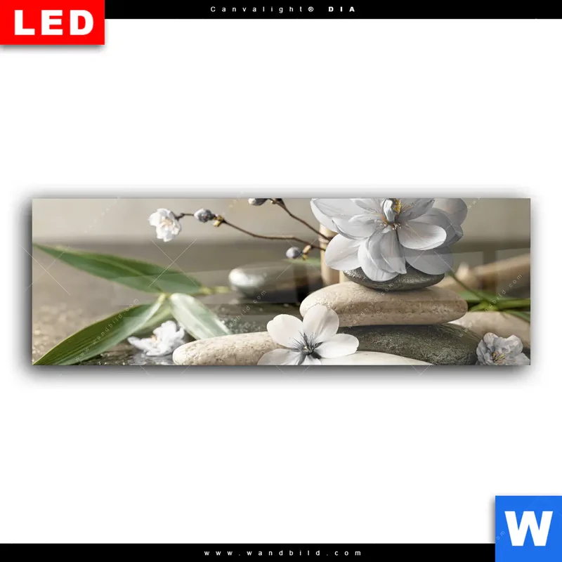 Wechselmotiv Acrylglas Canvalight® DIA | Blüten der Stille | Panorama