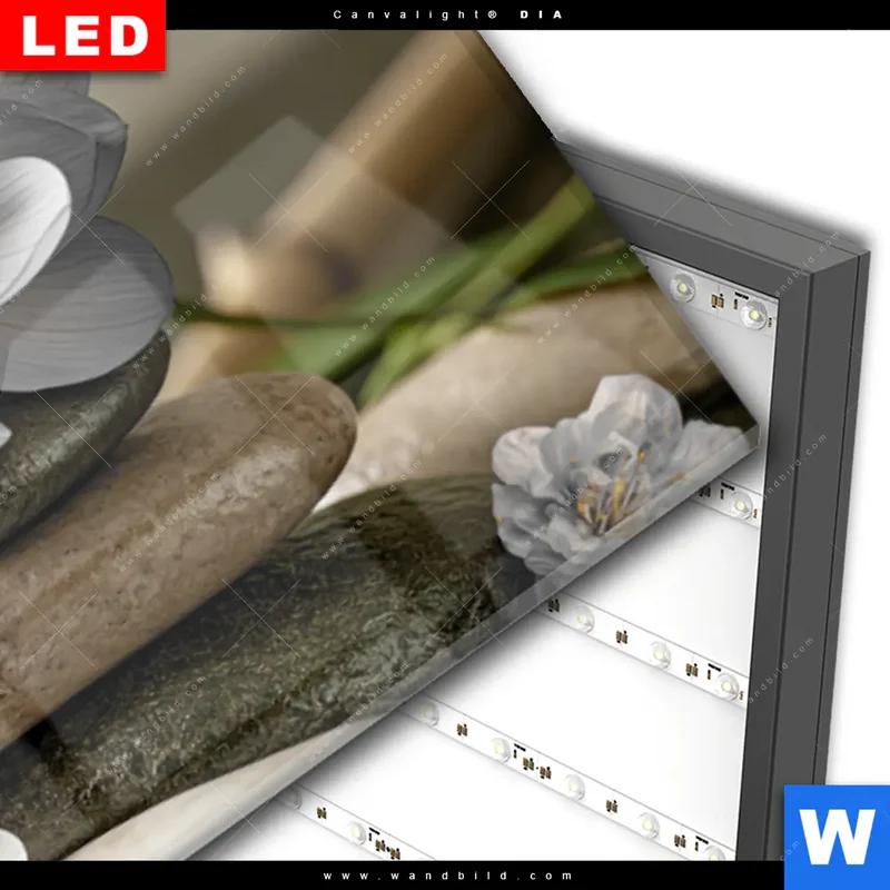 Wechselmotiv Acrylglas Canvalight® DIA | Blüten der Stille | Panorama