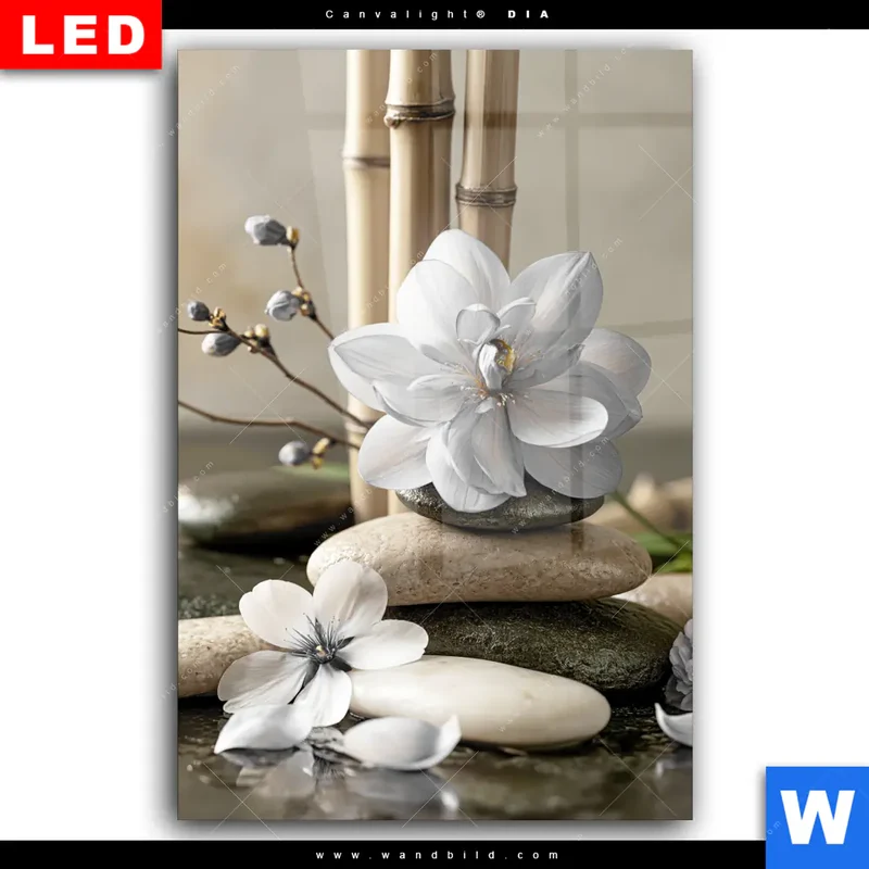 Wechselmotiv Acrylglas Canvalight® DIA | Blüten der Stille | Hochformat