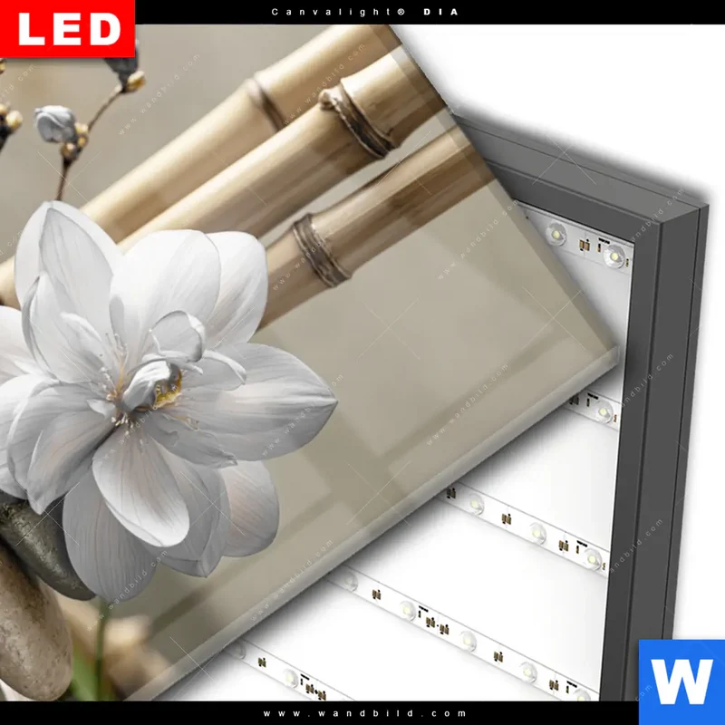 Wechselmotiv Acrylglas Canvalight® DIA | Blüten der Stille | Hochformat
