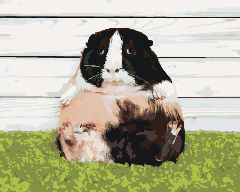 Diamond painting - EINE FAULE MOUSE