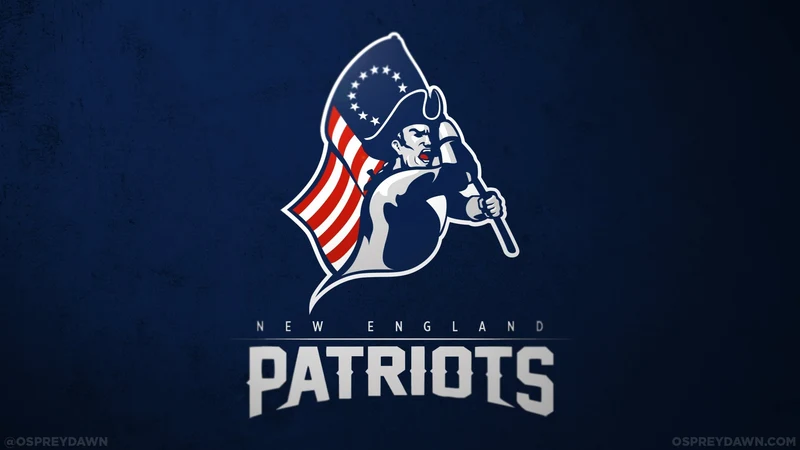 Patriots Football Painting PIX-544