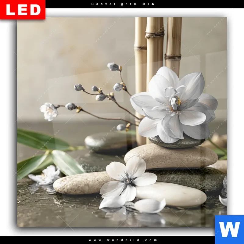 Wechselmotiv Acrylglas Canvalight® DIA | Blüten der Stille | Quadrat