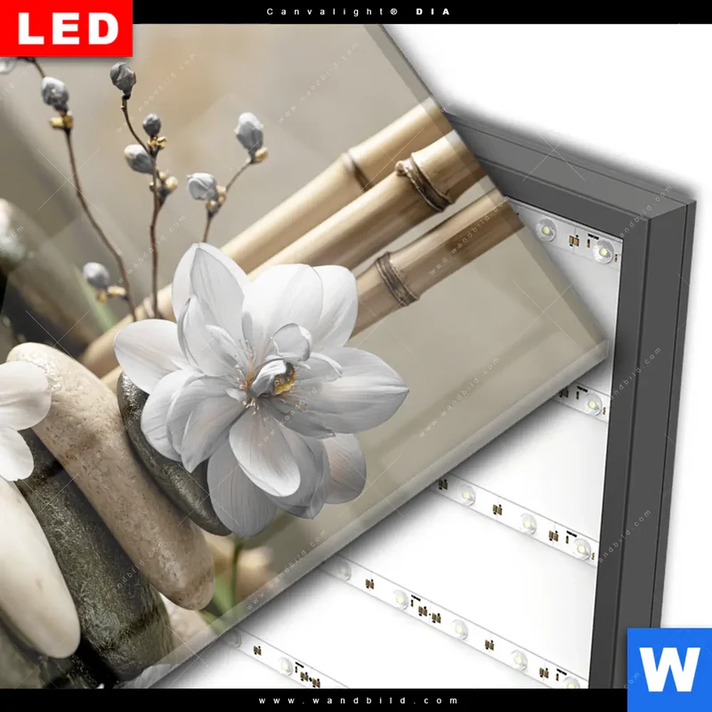 Wechselmotiv Acrylglas Canvalight® DIA | Blüten der Stille | Quadrat