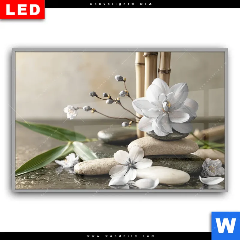 Leuchtbild Acrylglas Canvalight® DIA | Blüten der Stille | Querformat