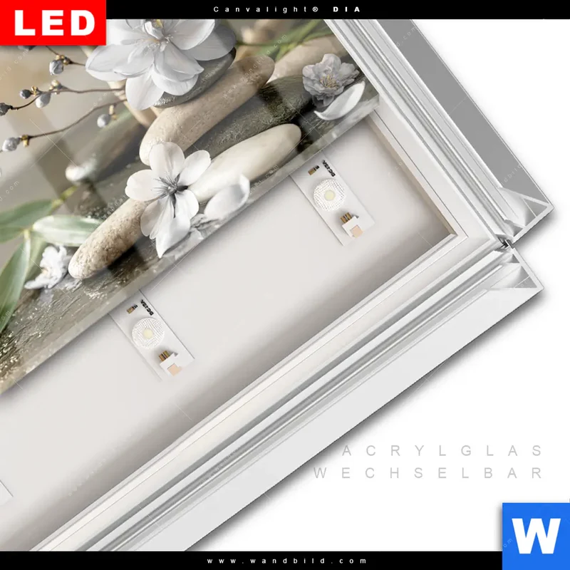 Leuchtbild Acrylglas Canvalight® DIA | Blüten der Stille | Querformat