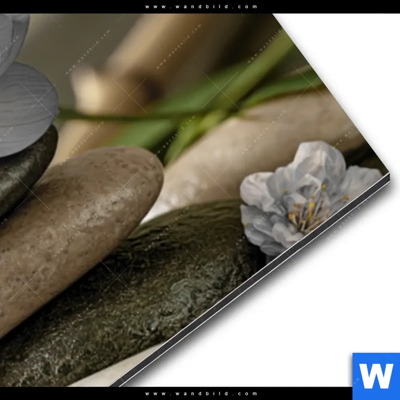 Alu-Dibond Bild | Blüten der Stille | Panorama