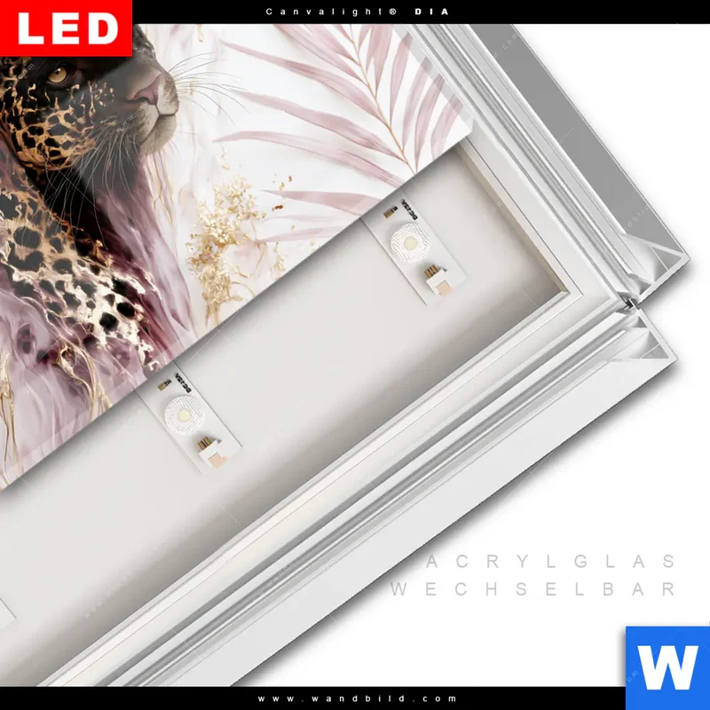 Leuchtbild Acrylglas Canvalight® DIA | Panther Glow | Querformat