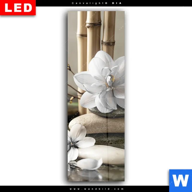 Wechselmotiv Acrylglas Canvalight® DIA | Blüten der Stille | Schmal