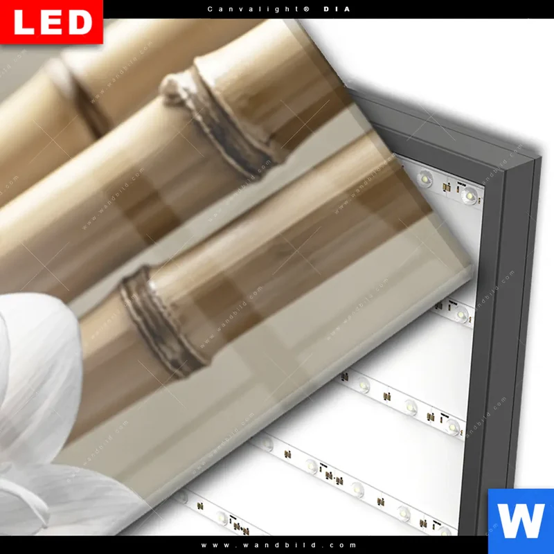 Wechselmotiv Acrylglas Canvalight® DIA | Blüten der Stille | Schmal