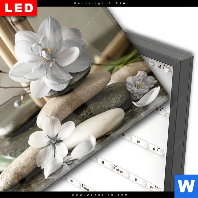 Wechselmotiv Acrylglas Canvalight® DIA | Blüten der Stille | Querformat
