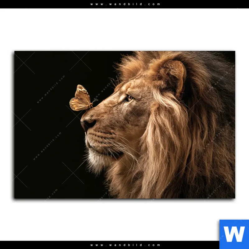 Leinwandbild | Löwe & Schmetterling | Querformat