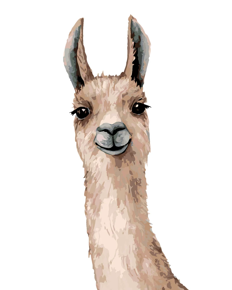 Diamond painting - LAMA AUF WEISSEM HINTERGRUND