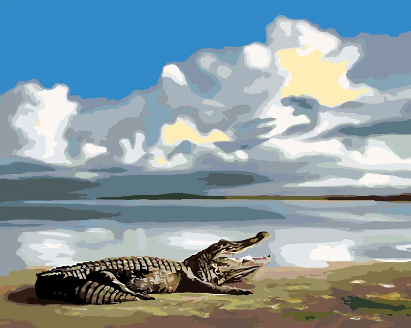 Diamond painting - LIEGENDER ALLIGATOR UND HIMMEL (D. RUSTY RUST)