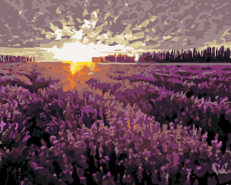 Diamond painting - LAVENDELFELD BEI SONNENUNTERGANG