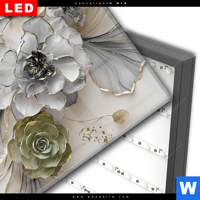 Wechselmotiv Acrylglas Canvalight® DIA | Fluid Art - Sukkulentenblüten | Quadrat