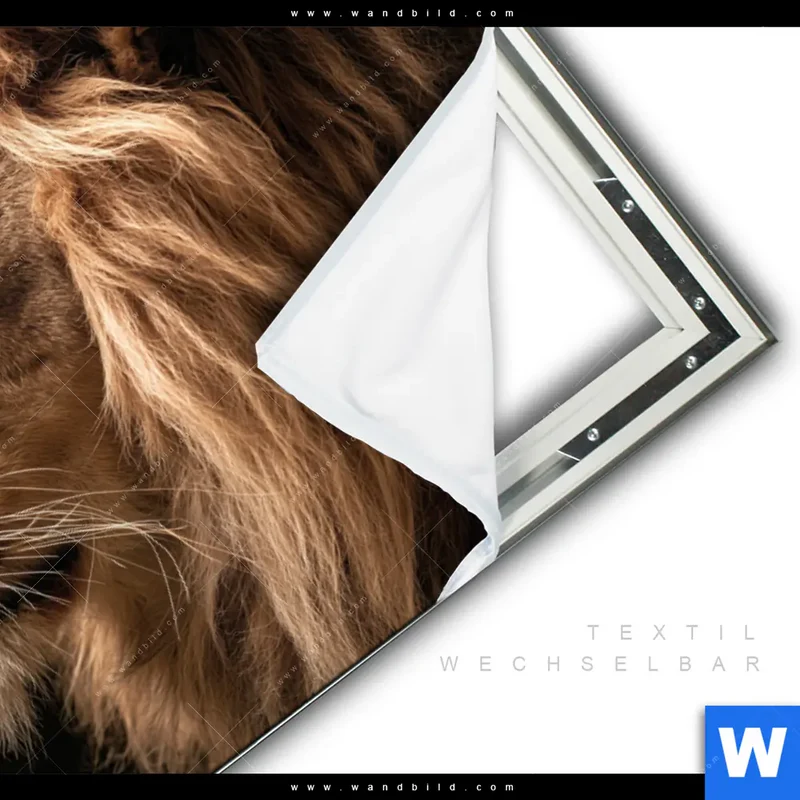 Spannbild | Löwe & Schmetterling | Querformat