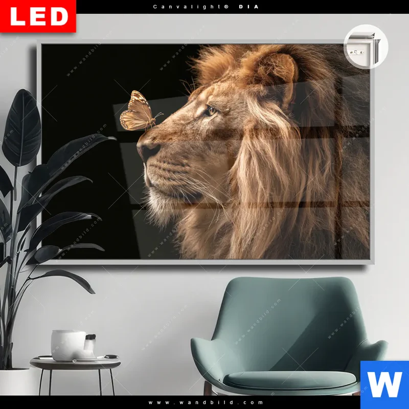 Leuchtbild Acrylglas Canvalight® DIA | Löwe & Schmetterling | Querformat