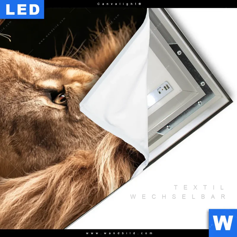 Canvalight® Leuchtbild | Löwe & Schmetterling | Hochformat