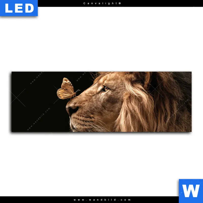 Canvalight® Leuchtbild | Löwe & Schmetterling | Panorama